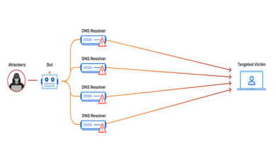 DDoS Attacks